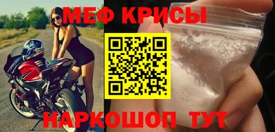 СК Гатчина