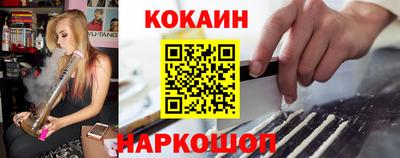 СК Гатчина