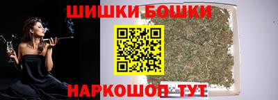 СК Гатчина