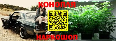 индика Гагарин