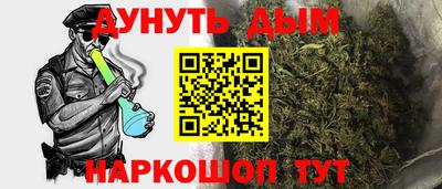 индика Гагарин