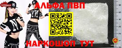 СК Гатчина