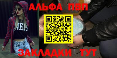 СК Гатчина