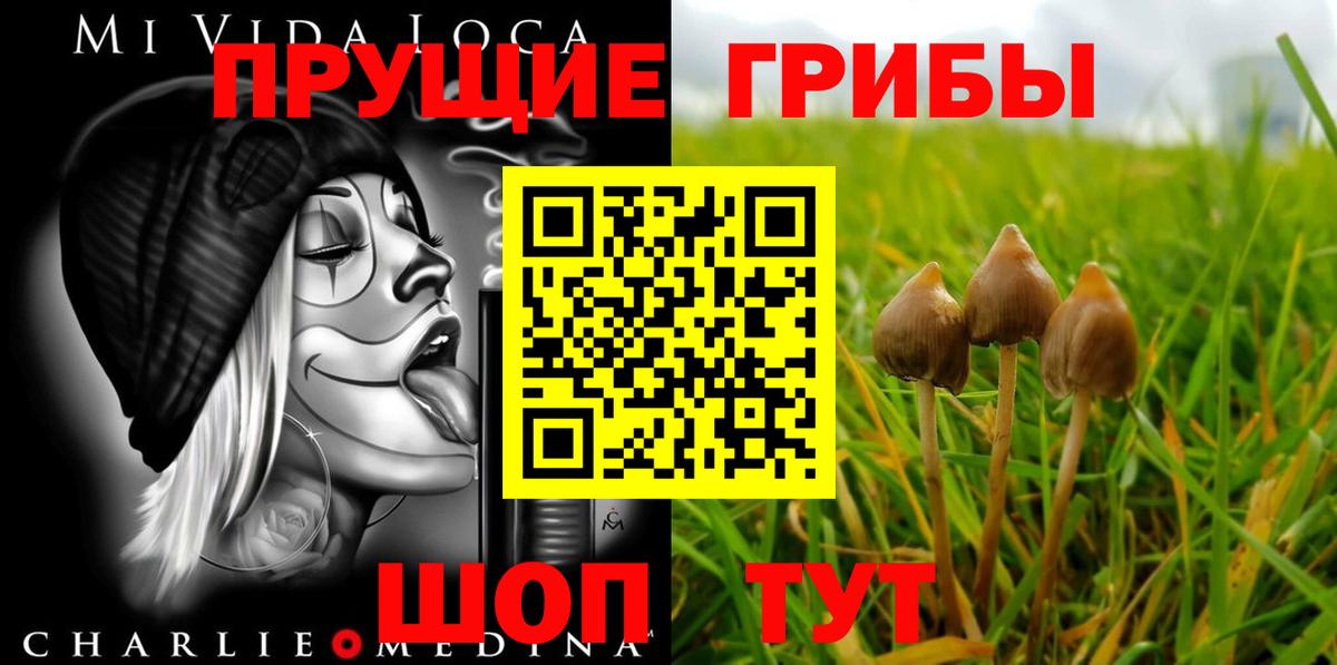 Галлюциногенные грибы мухоморы Тимашёвск